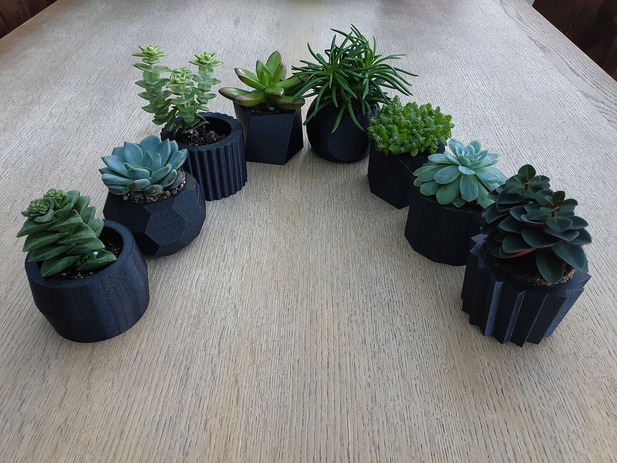 Succulent Plant Pots