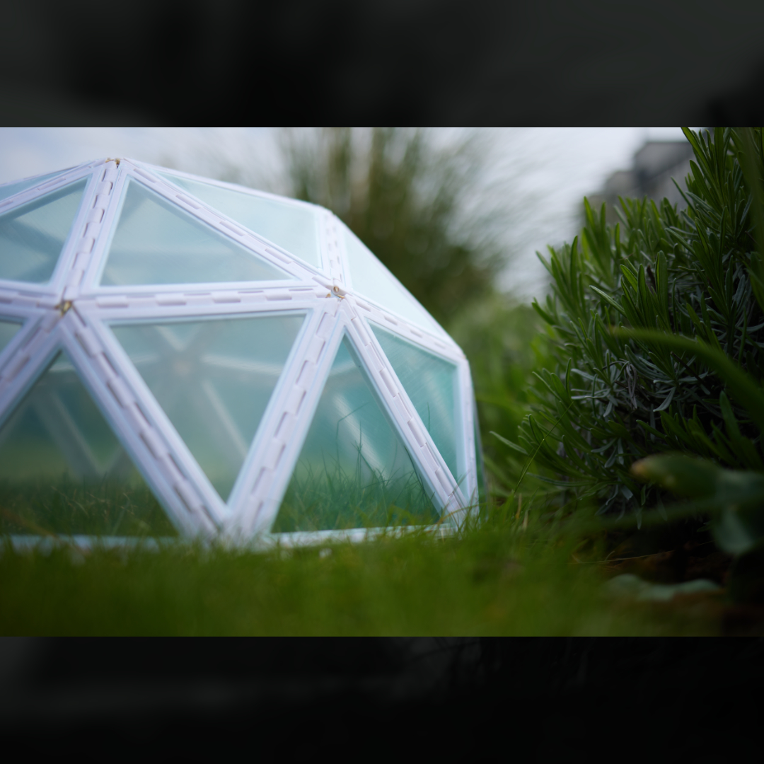 mini Geodesic dome greenhouse