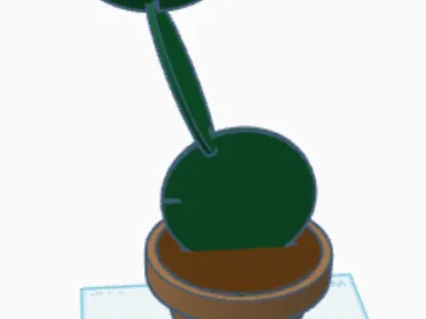 Cactus coasters