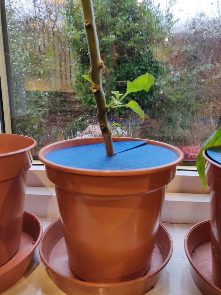 Plant Pot Cover