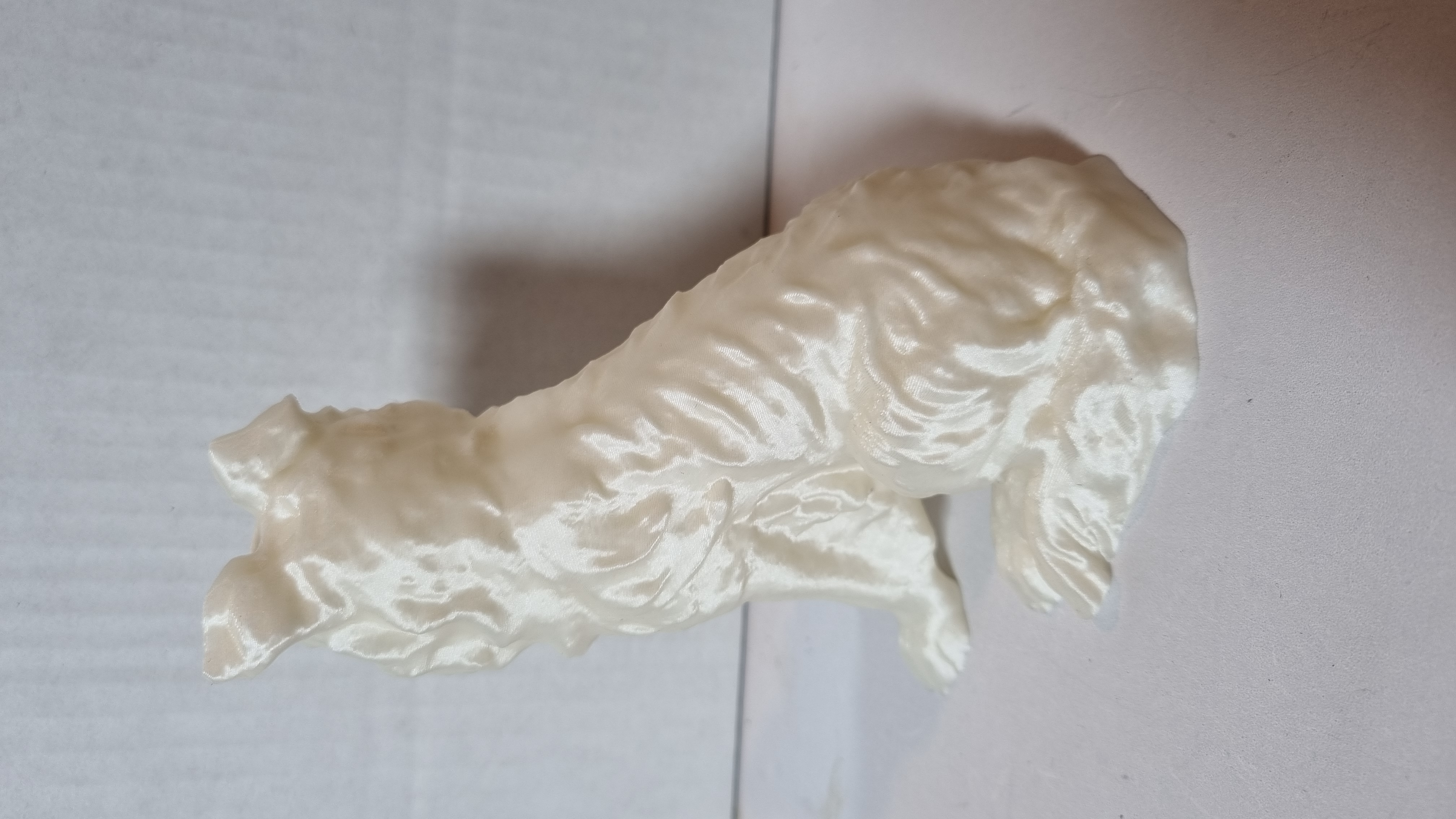 Miniatura 4 do modelo 3D Border Collie Dog