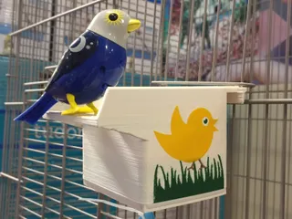 Bird Feeder