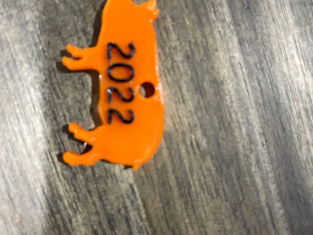 Pig