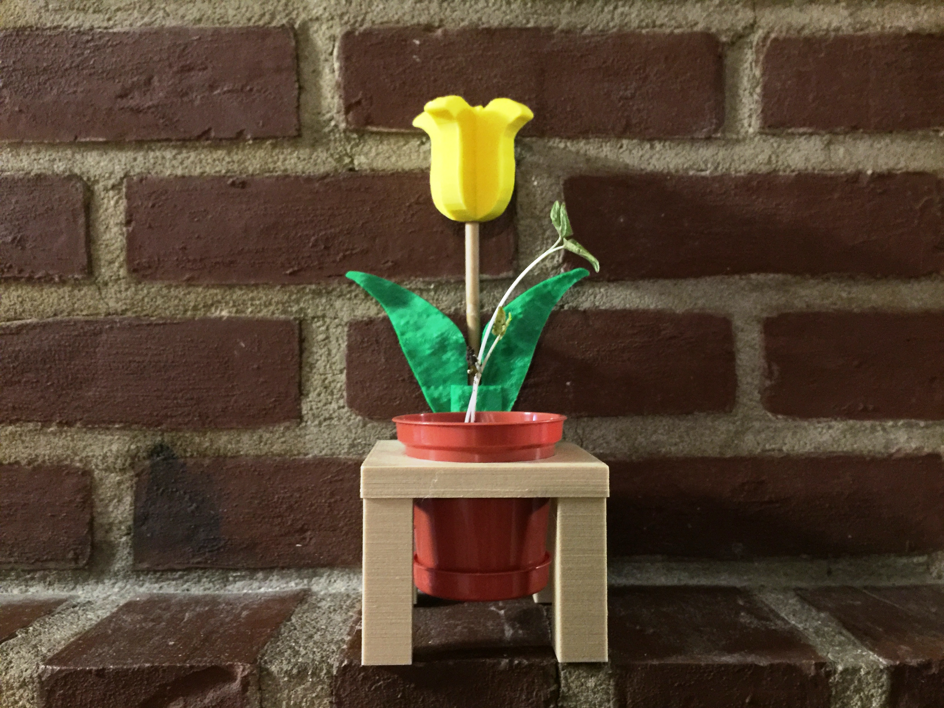 Mothers Day Flower