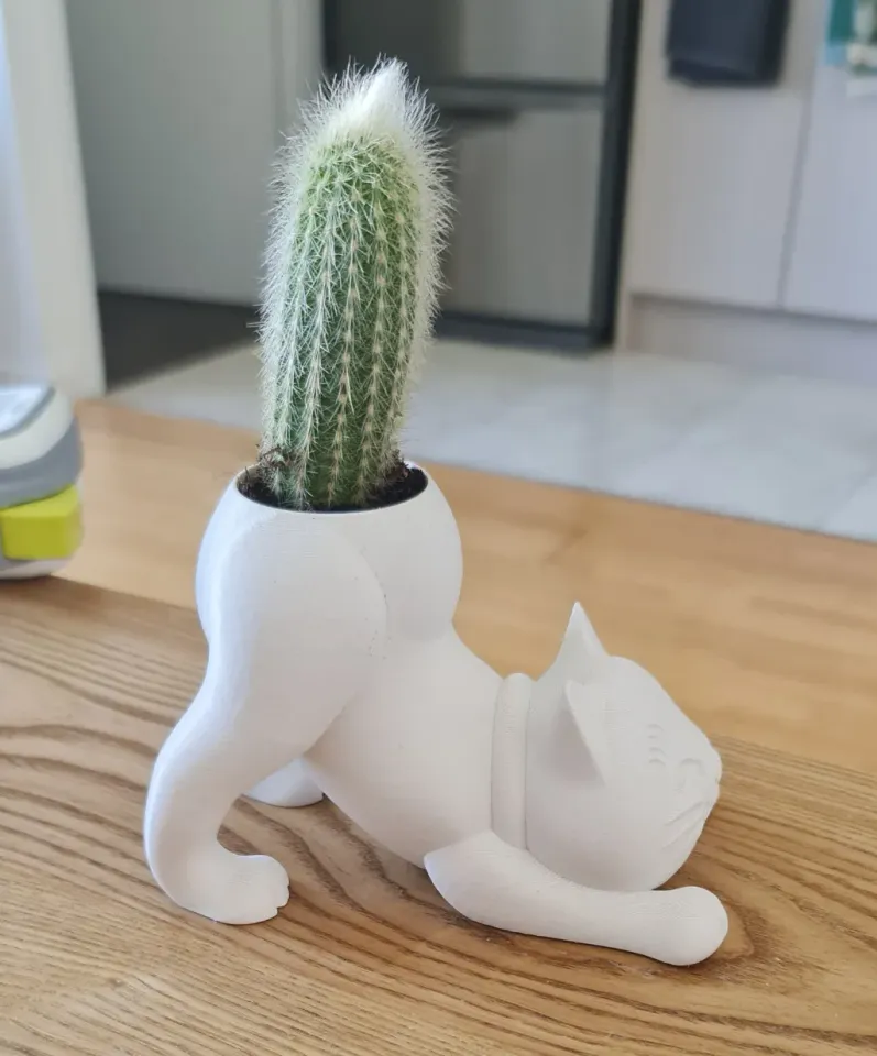 Cat Cactus Pot by cq free STL model | Printables.com