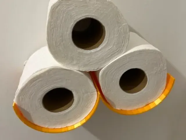 Toilet paper holder - cloud shaped - no screws needed (3m command strips)