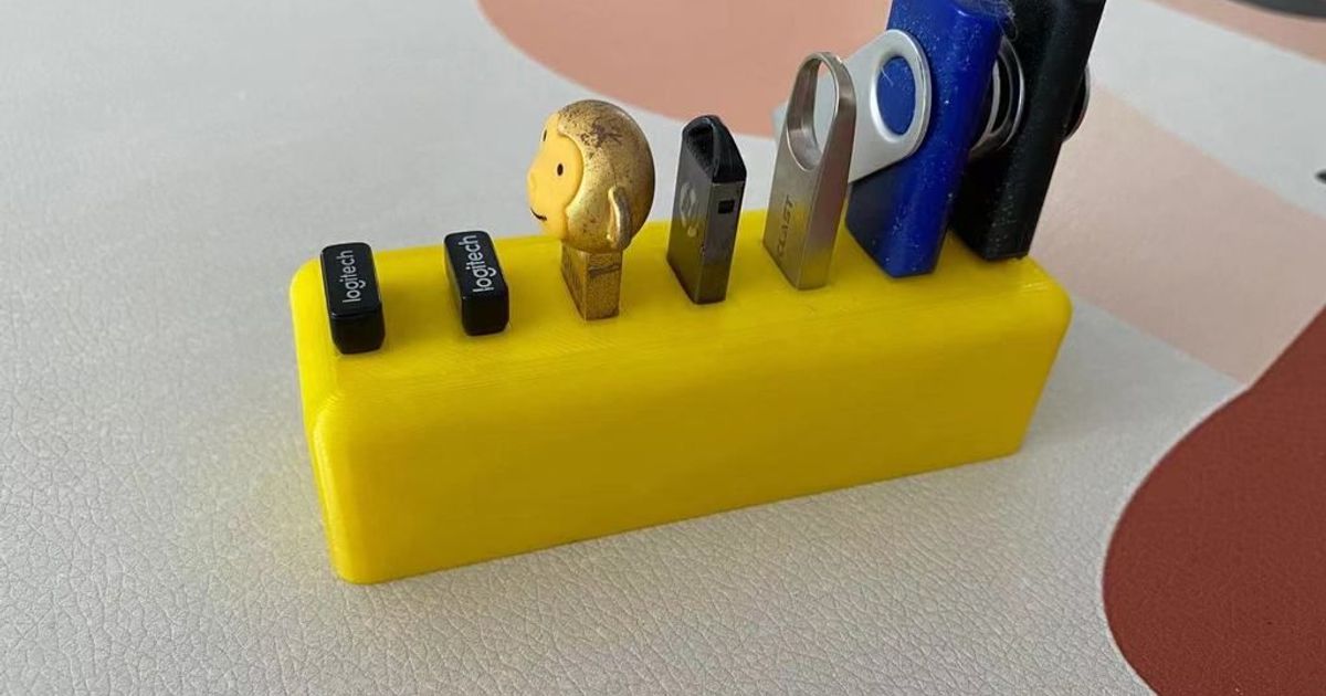 Ordinary Flash drive Holder by Desktop Inventions Download free STL