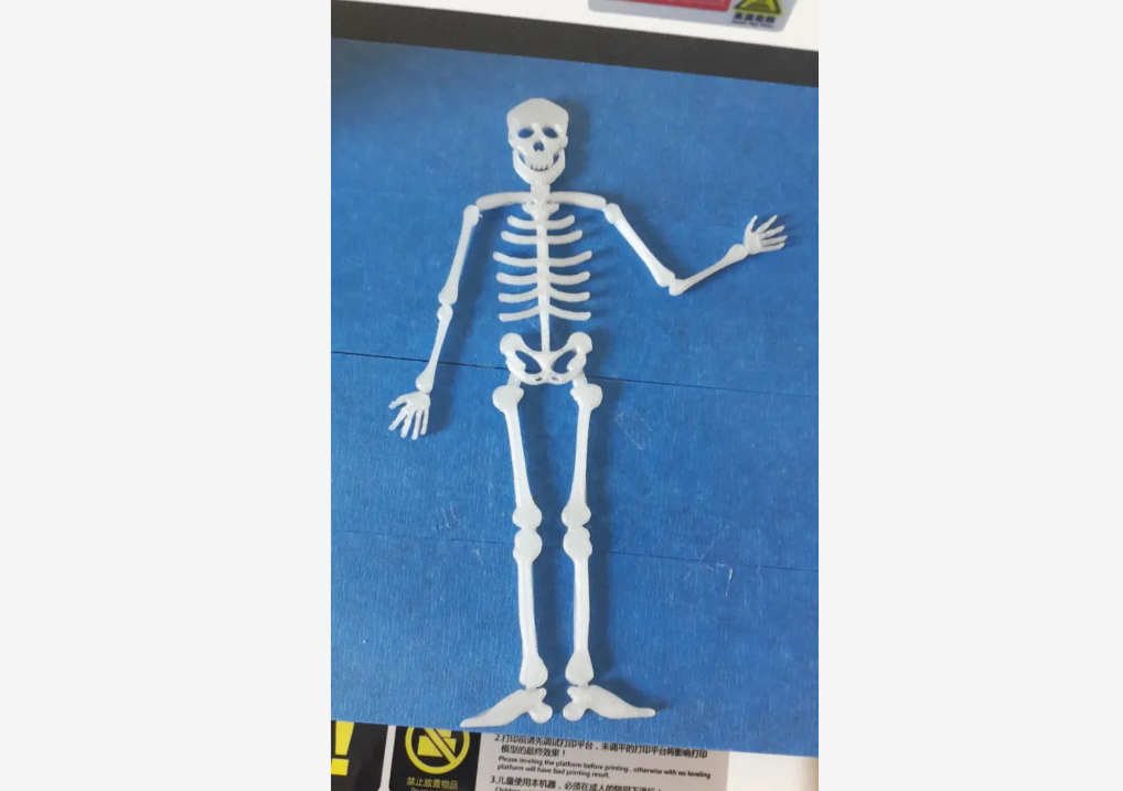 skeleton (flat)