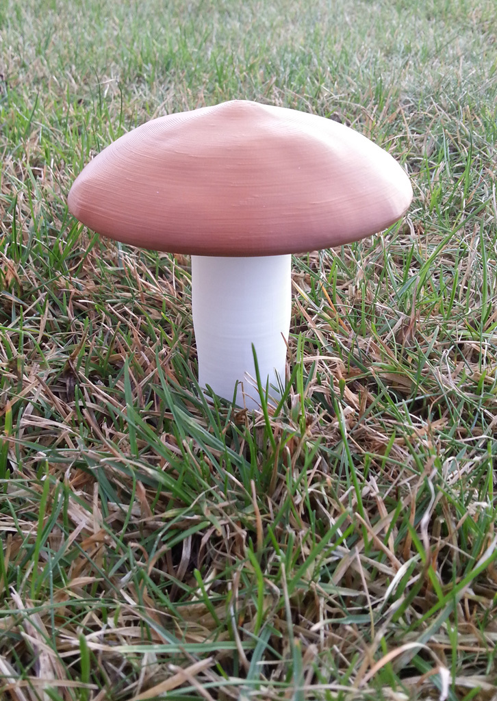 Mushroom container