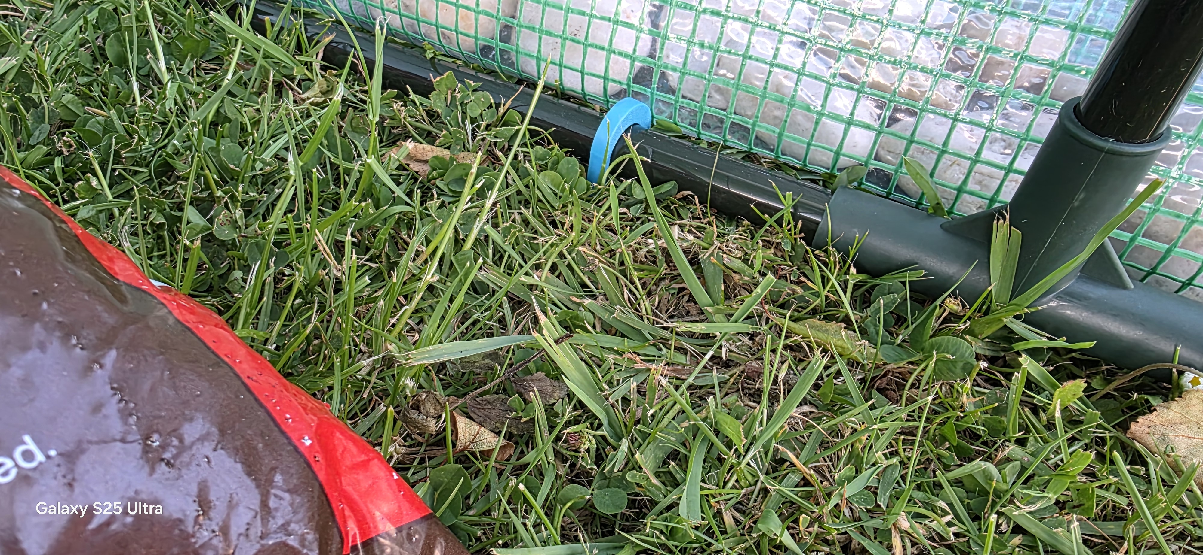 Green House (Polytunnel) Pole Peg