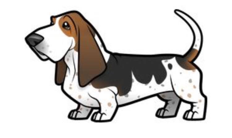 Basset Cookie Cutter