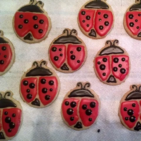 Ladybug Cookie Cutter