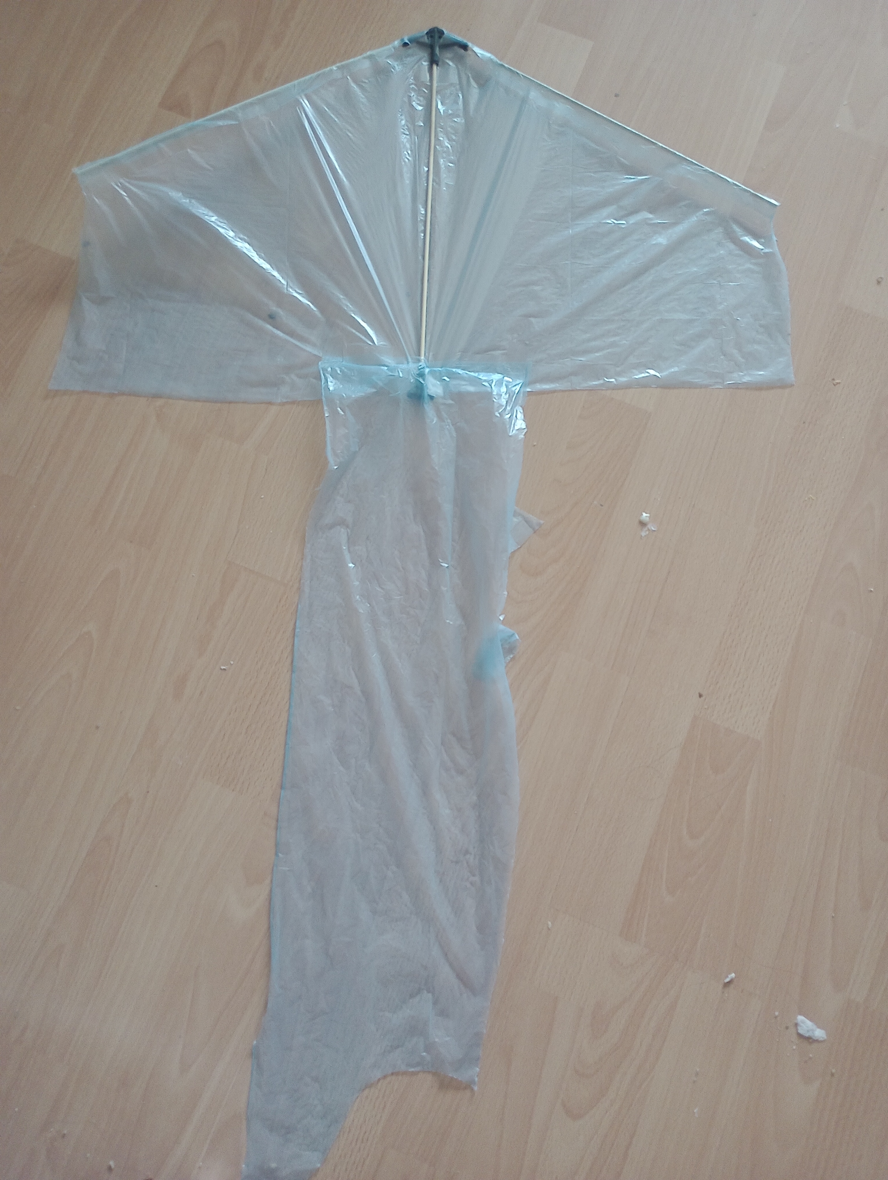 Simple delta kite