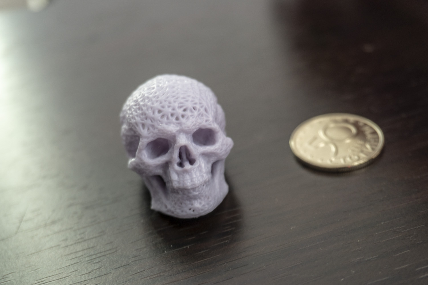 Meshed Skull