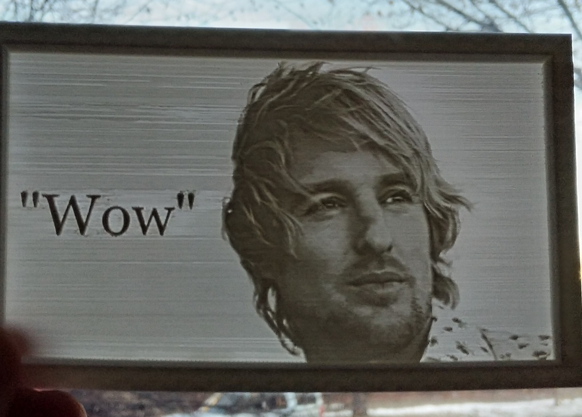 Wow Lithopane Owen Wilson By Bostrt Download Free Stl Model 9165