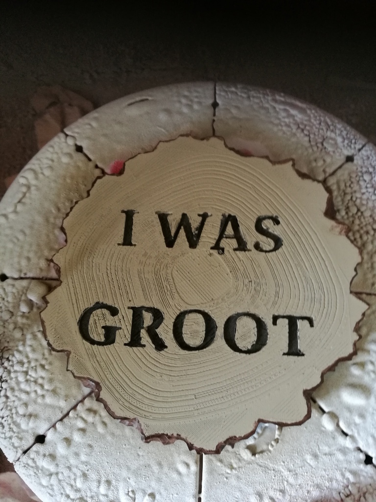 I am Groot coaster