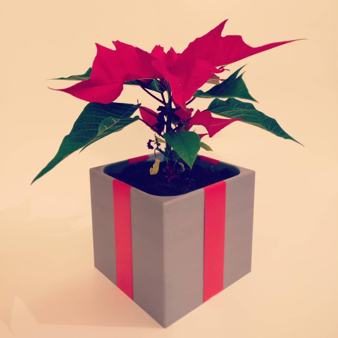 Present planter