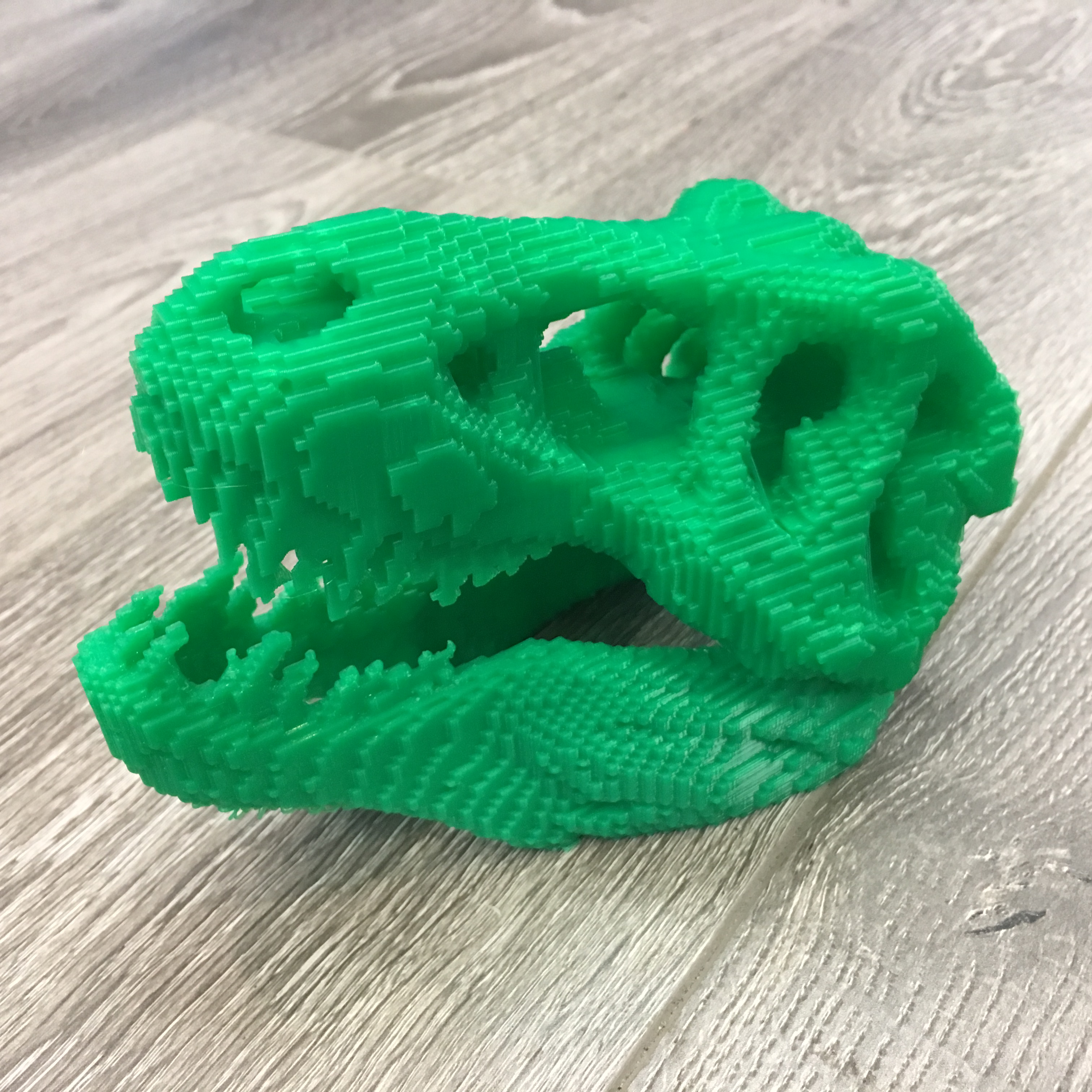 Voxelized T-Rex Skull