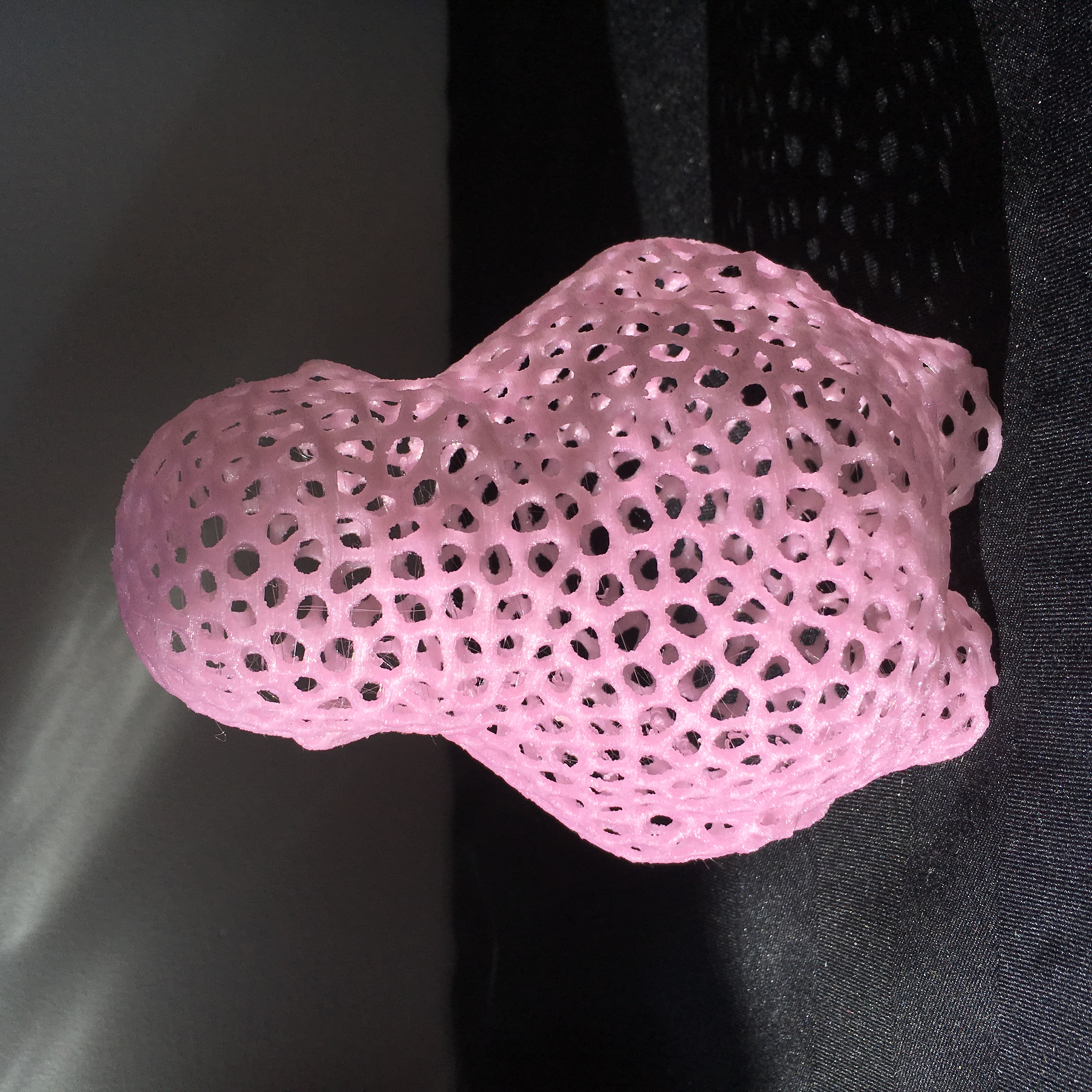 Voronoi Zee Blank