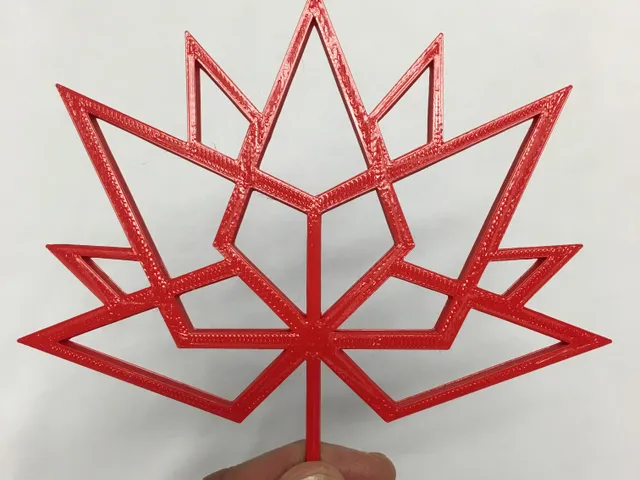 Canada 150 Logo Wireframe