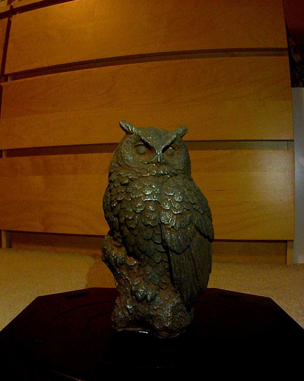 Dollarama Owl