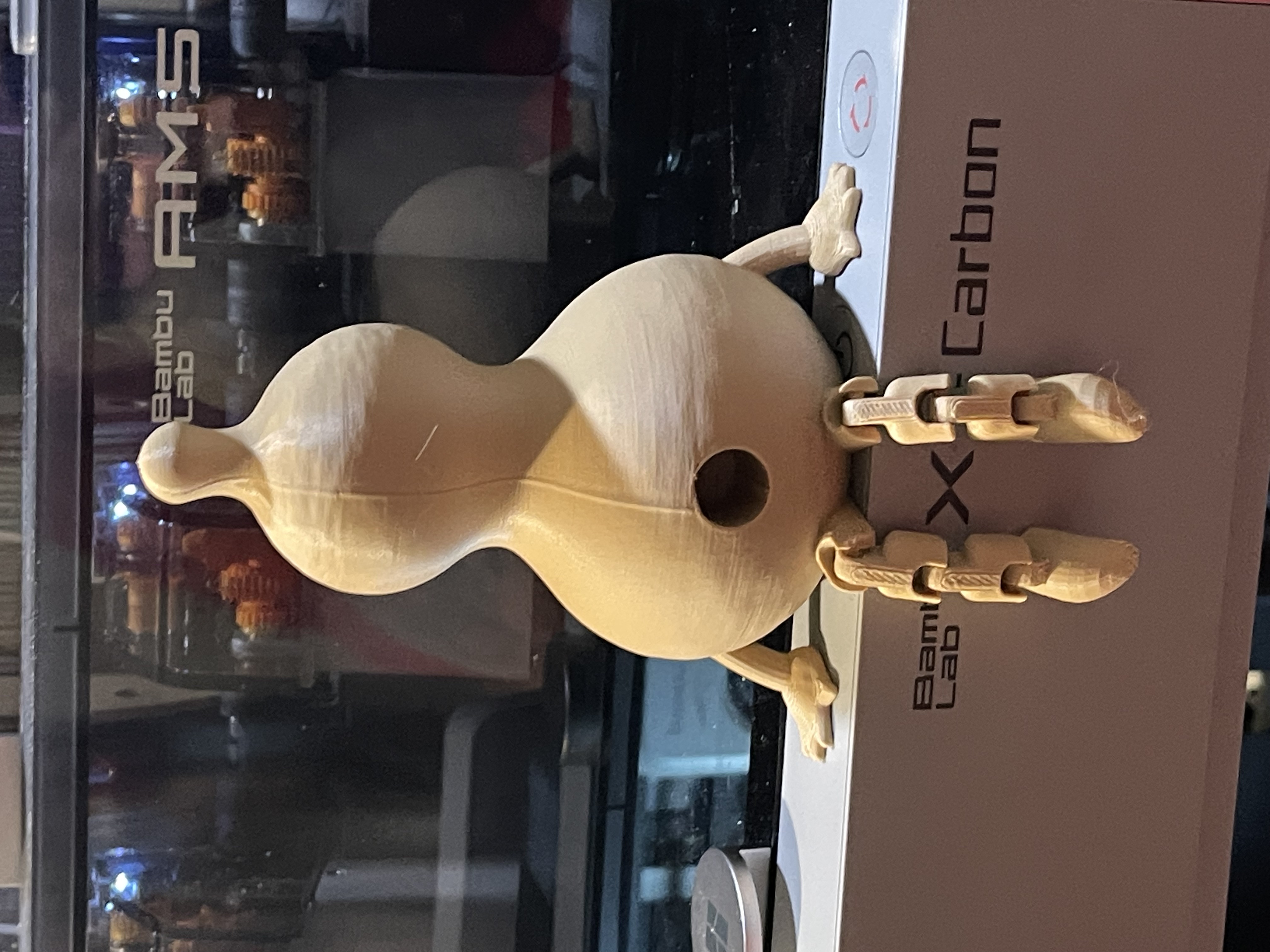 Friendly Articulated Gourd