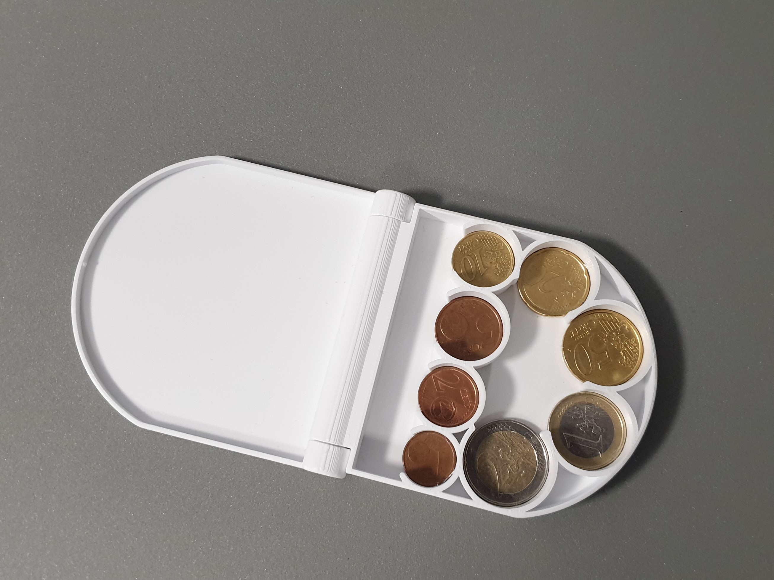 Euro Coin Case