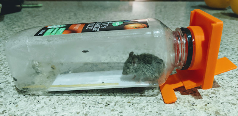Miniatura 6 do modelo 3D Bottle mouse trap