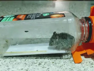 Water bottle Mouse/Rat Trap, Water bottle Mouse/Rat Trap, By Creative  King