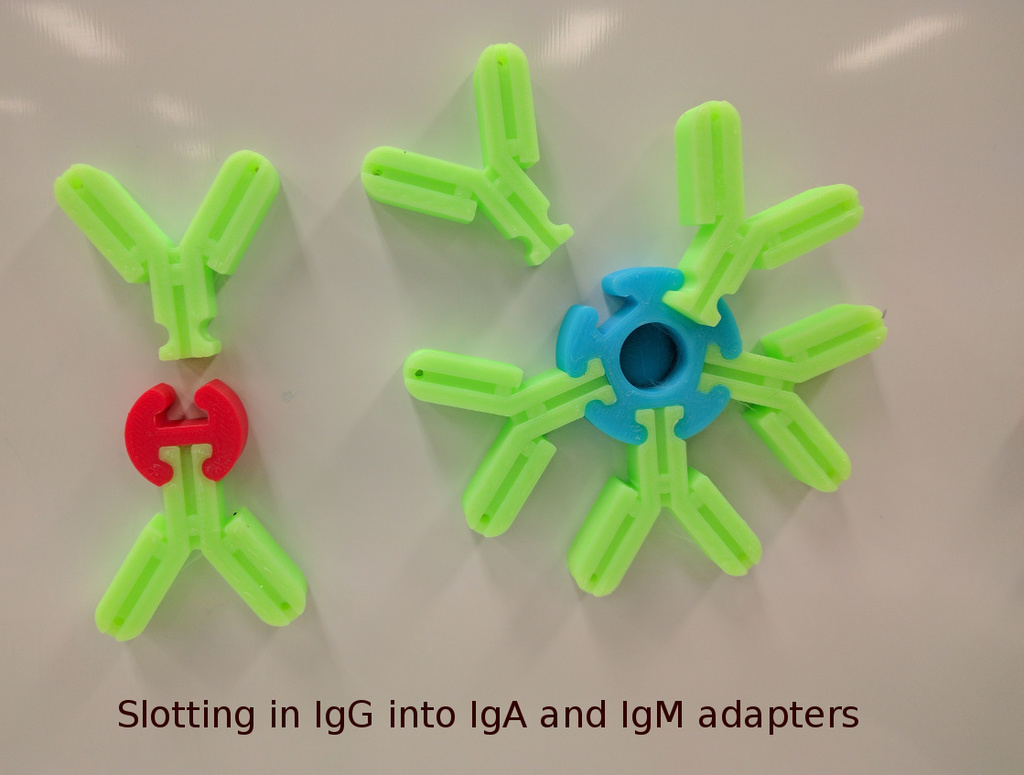 Antibody Modelling Kit — miniatura 3