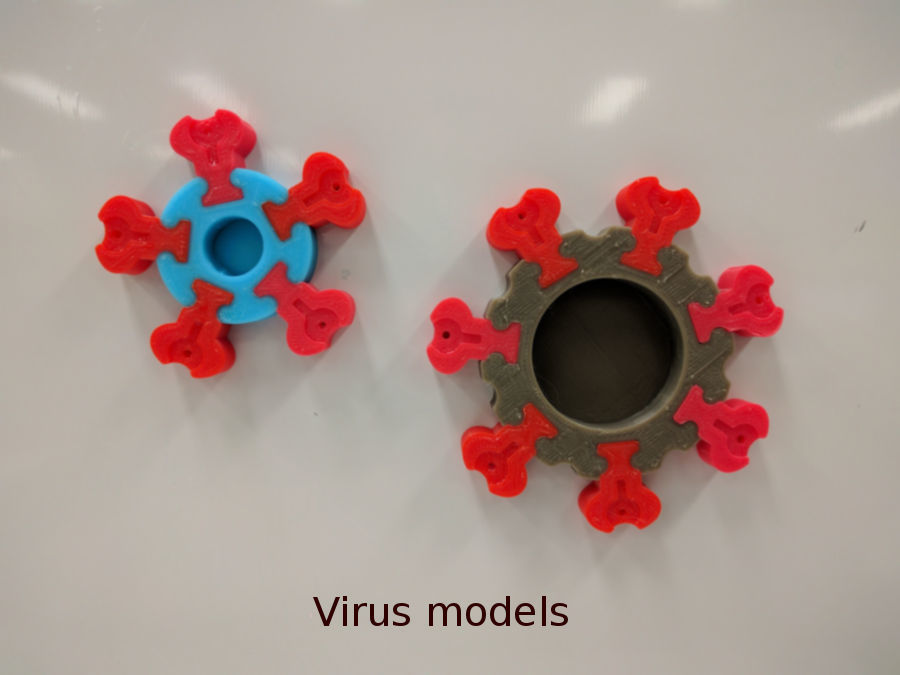 Antibody Modelling Kit — miniatura 4