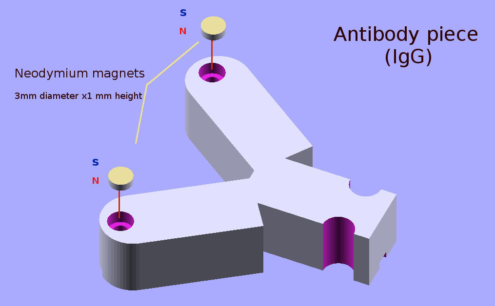 Antibody Modelling Kit — miniatura 5