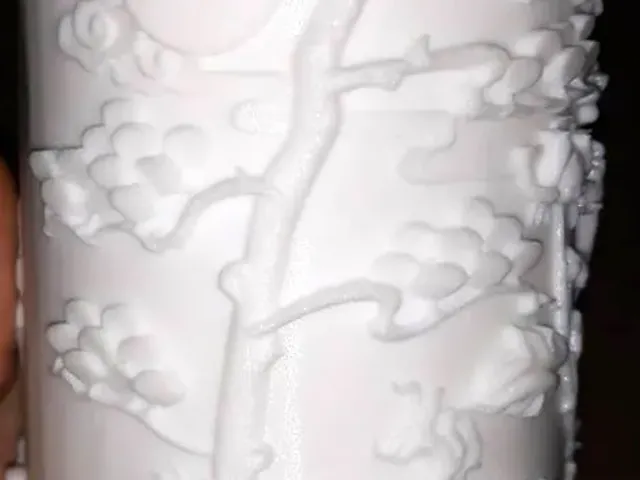 Chinese Vase BIQU Magician Sample print