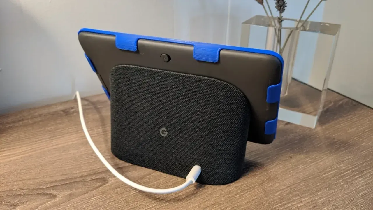 Google home clearance hub color