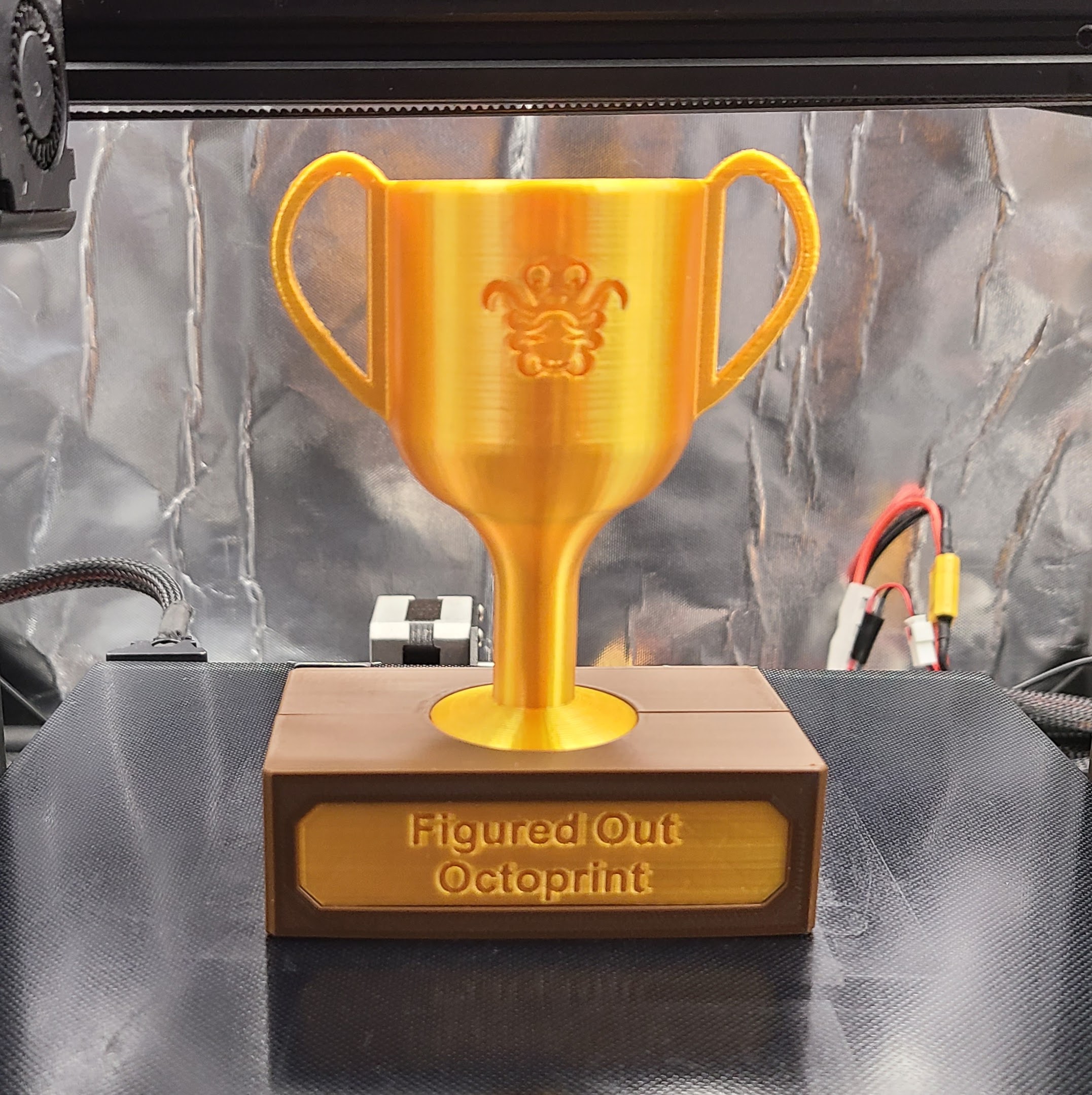 3D Printing Trophy: OctoPrint