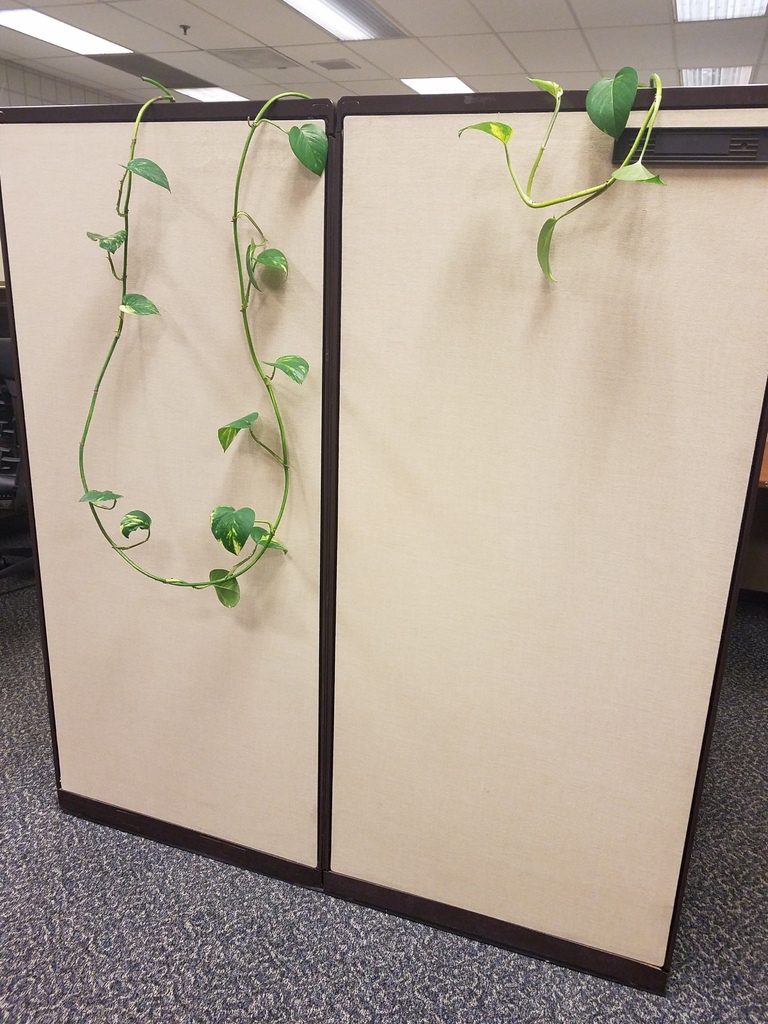 Cubical Vine Hanger for Plants by D3Dorsett Download free STL model