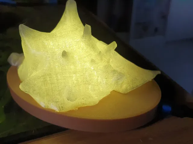 Sea Shell Scan and Led Base