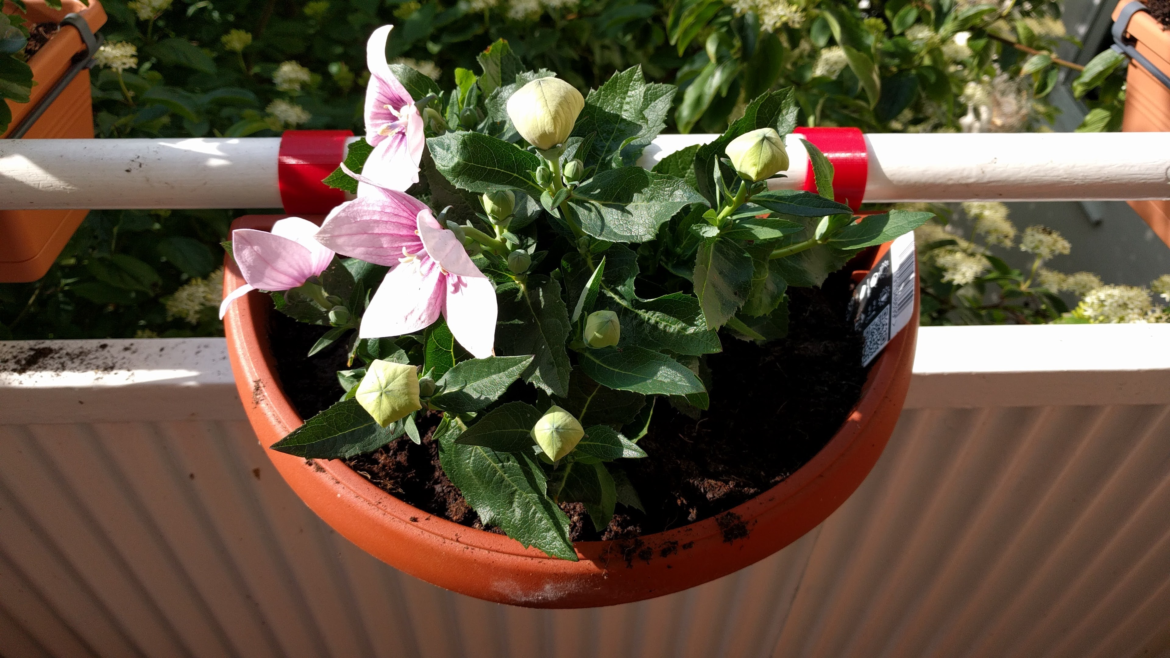 Customizable planter holders