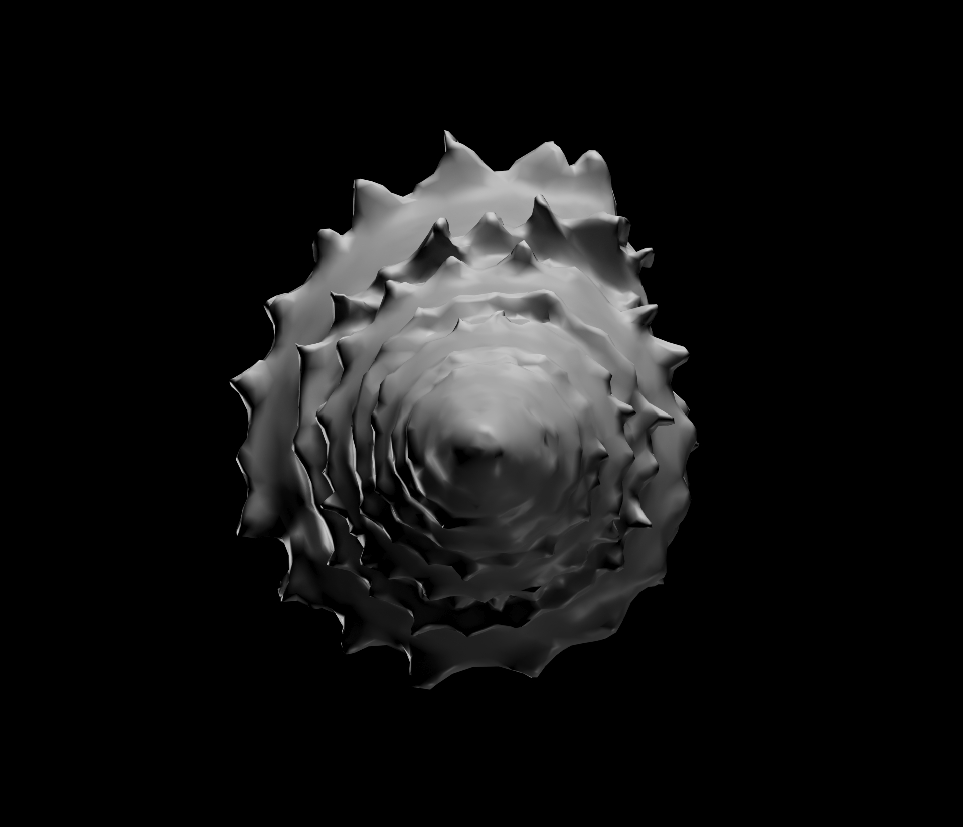 Large Conch Seashell — thumbnail 2