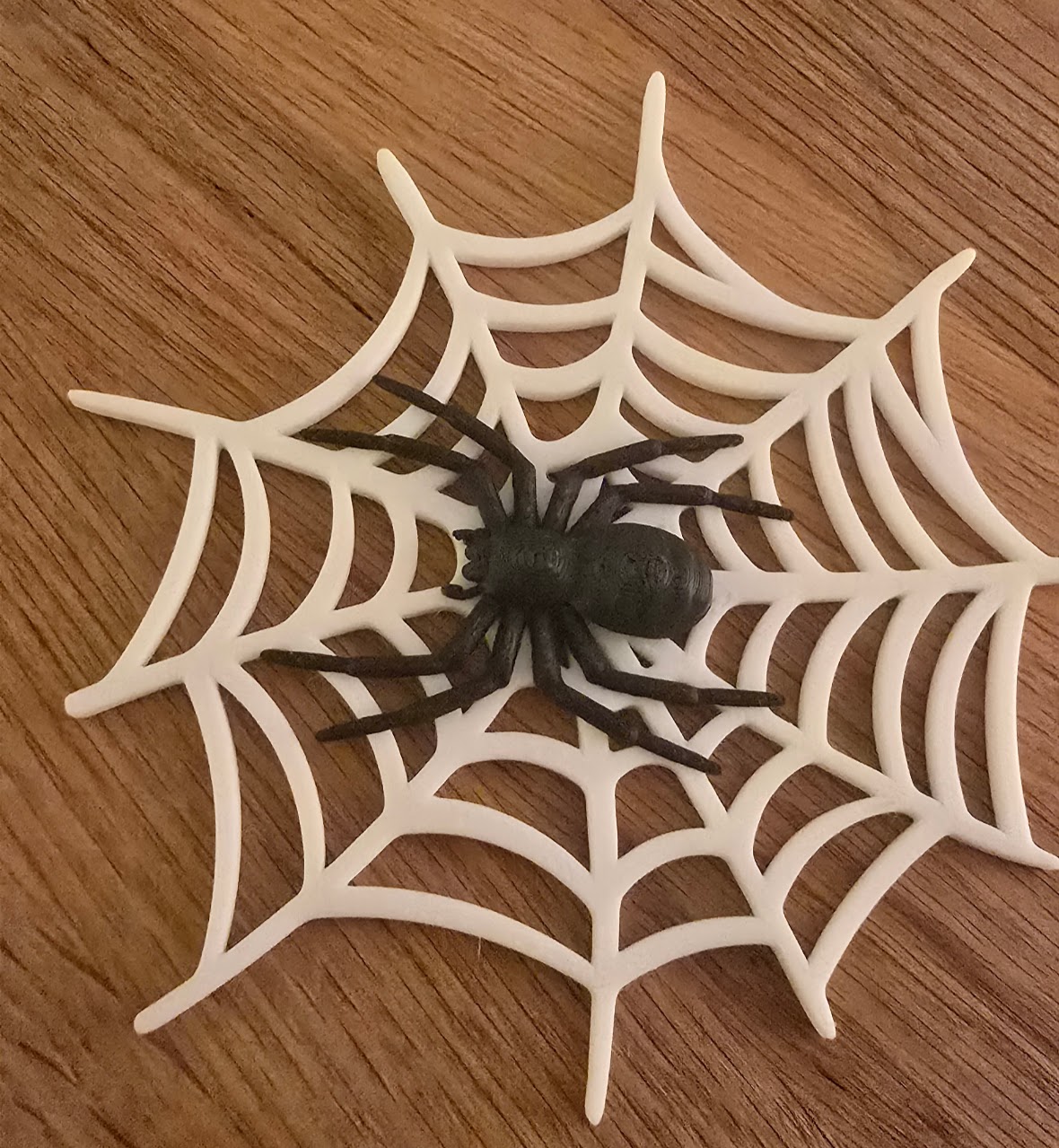 Spider in a web (combination of two models)