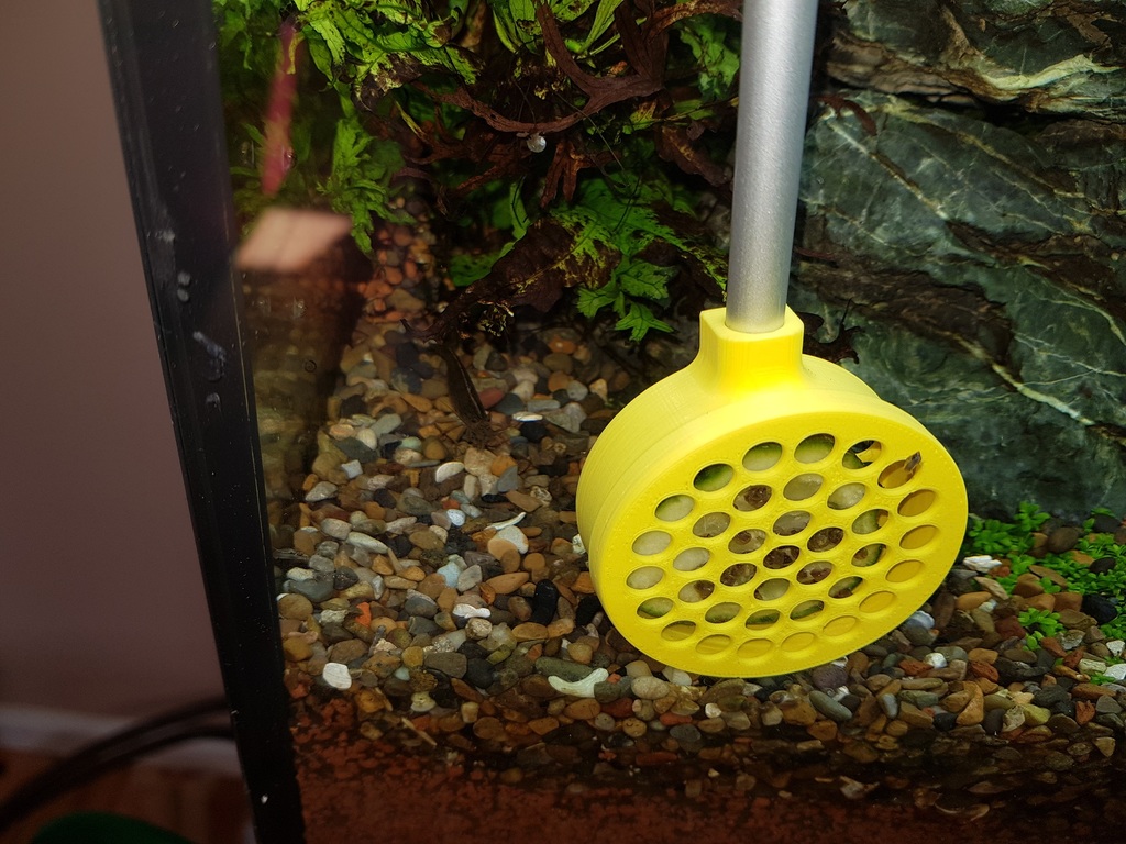 Cucumber snail trap