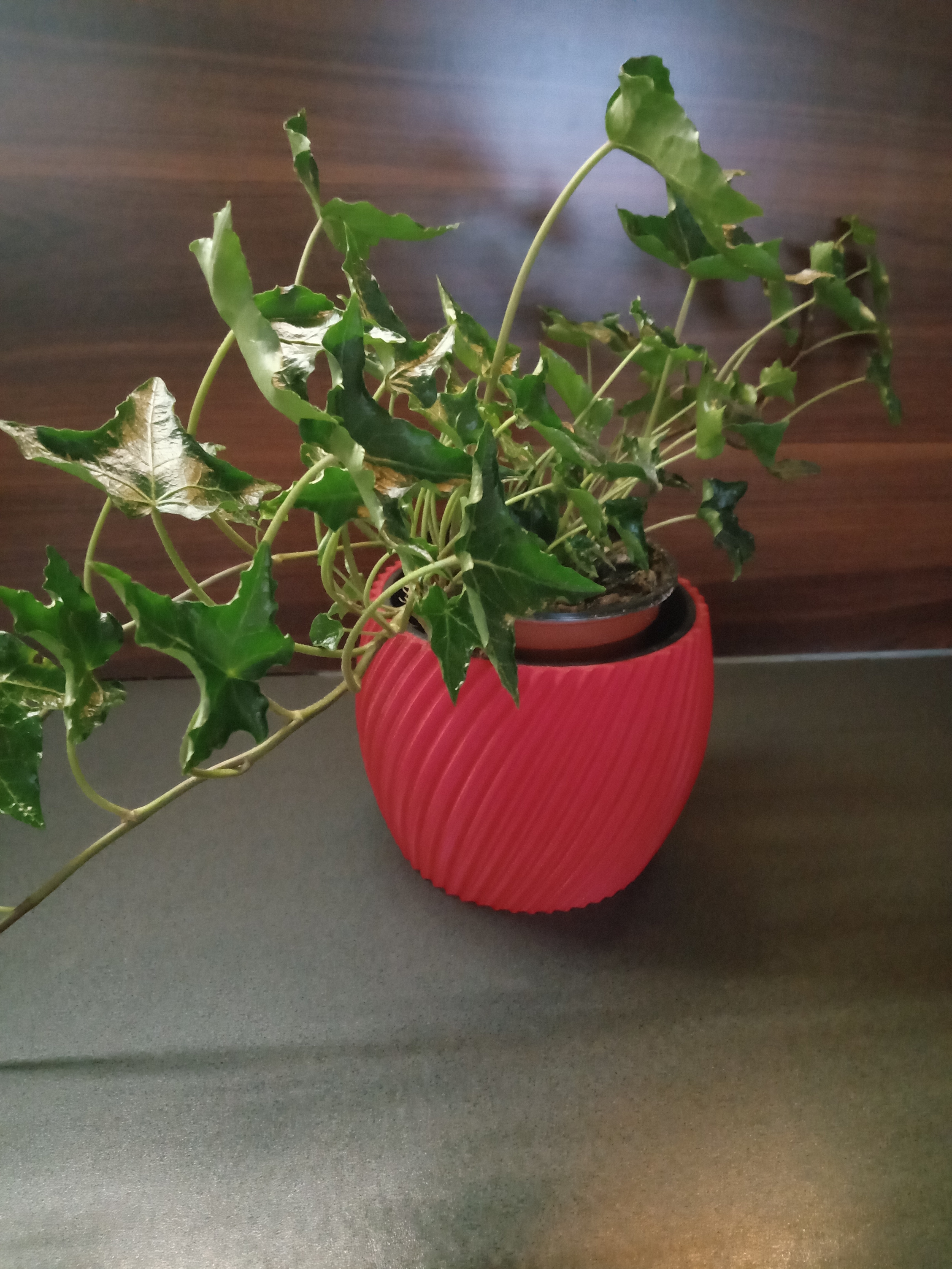 flower pot