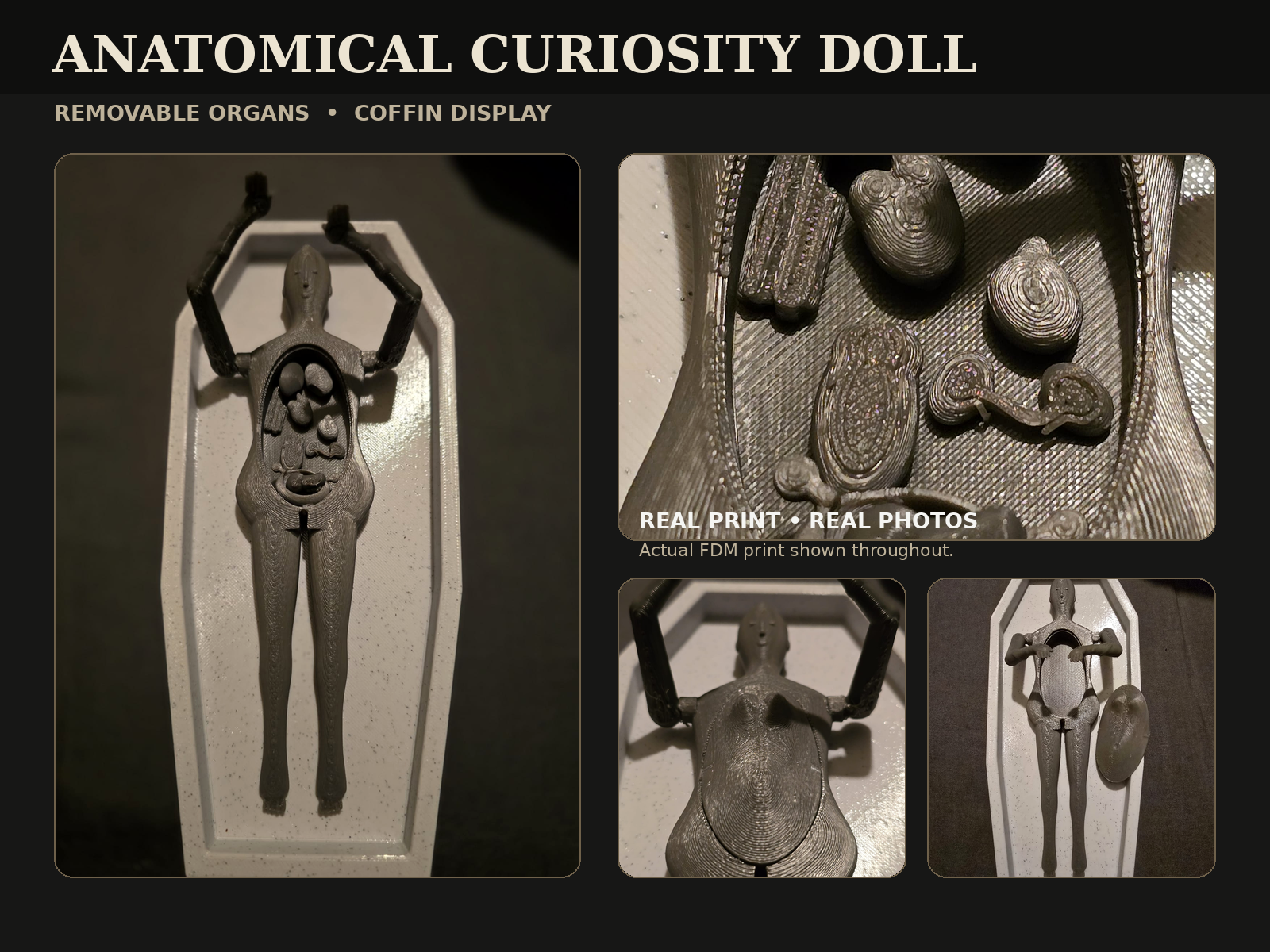 Victorian Anatomical Curiosity Doll with Removable Organs v1
