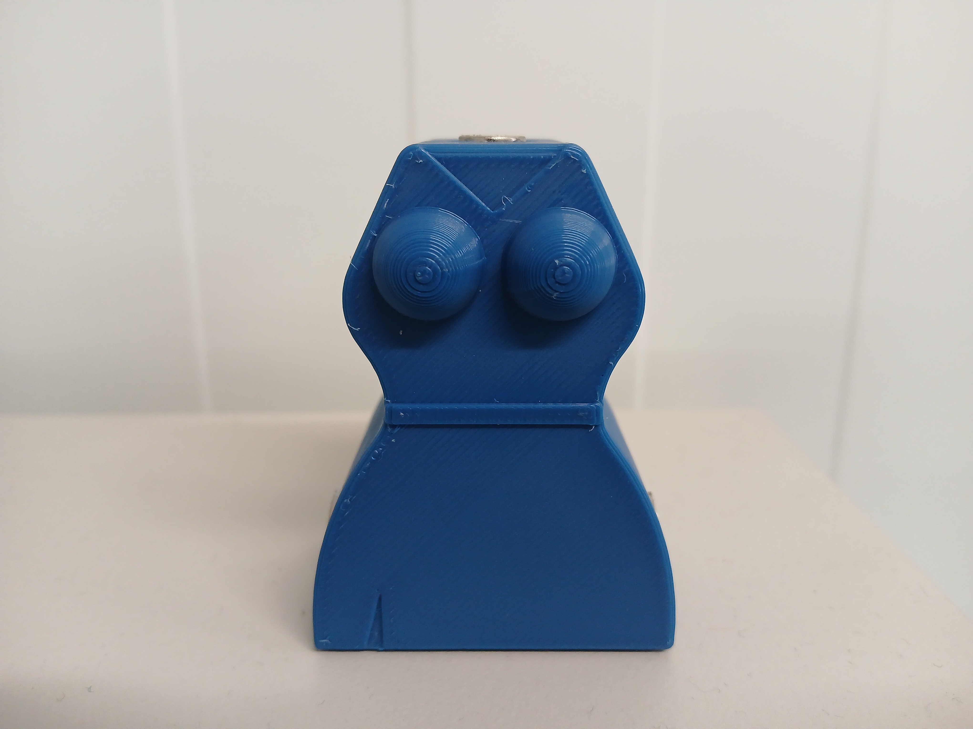 Cuerpo Robotina