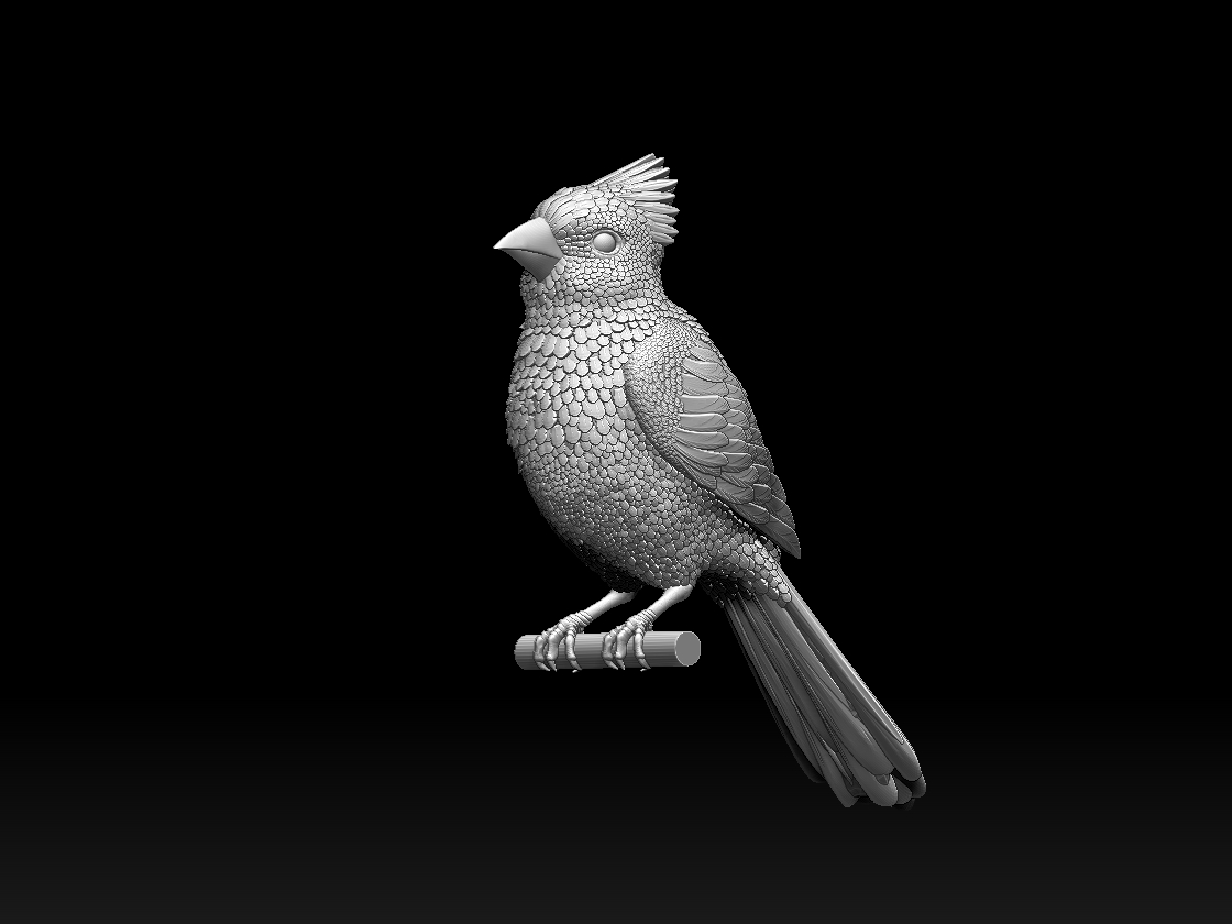 red cardinal — miniatura 6