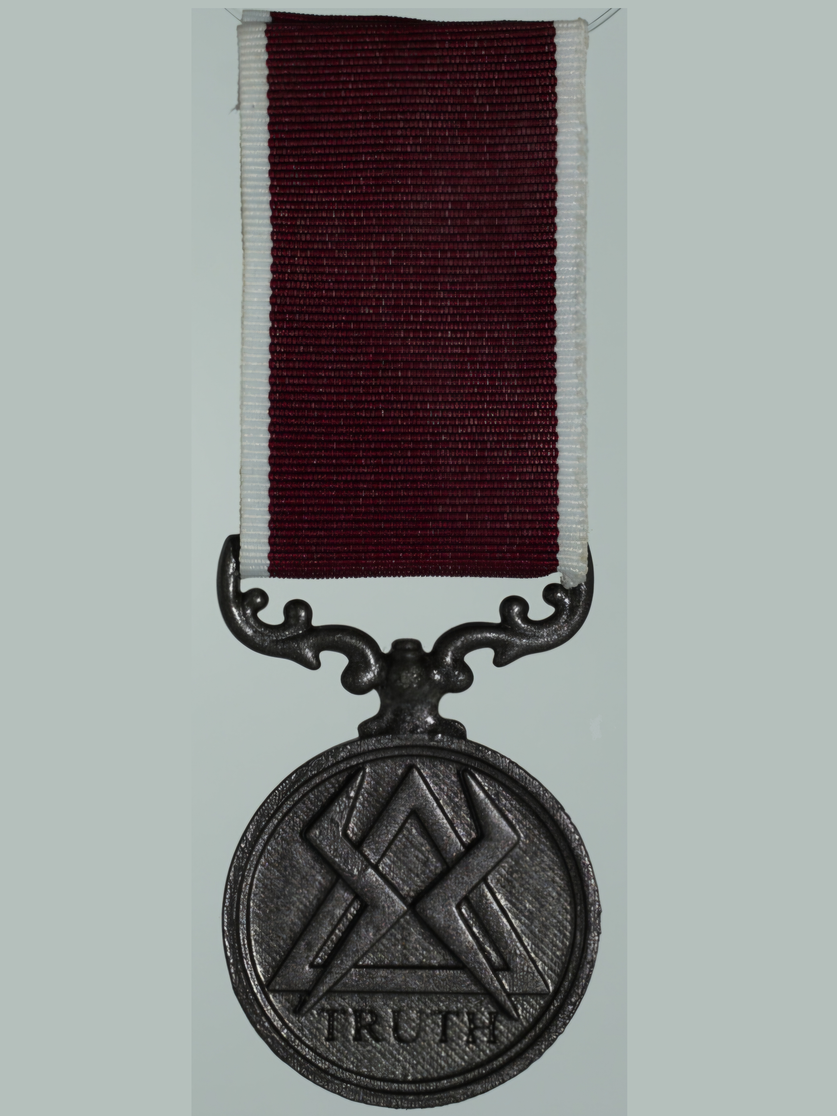 Doctor Who Memory Police Medal