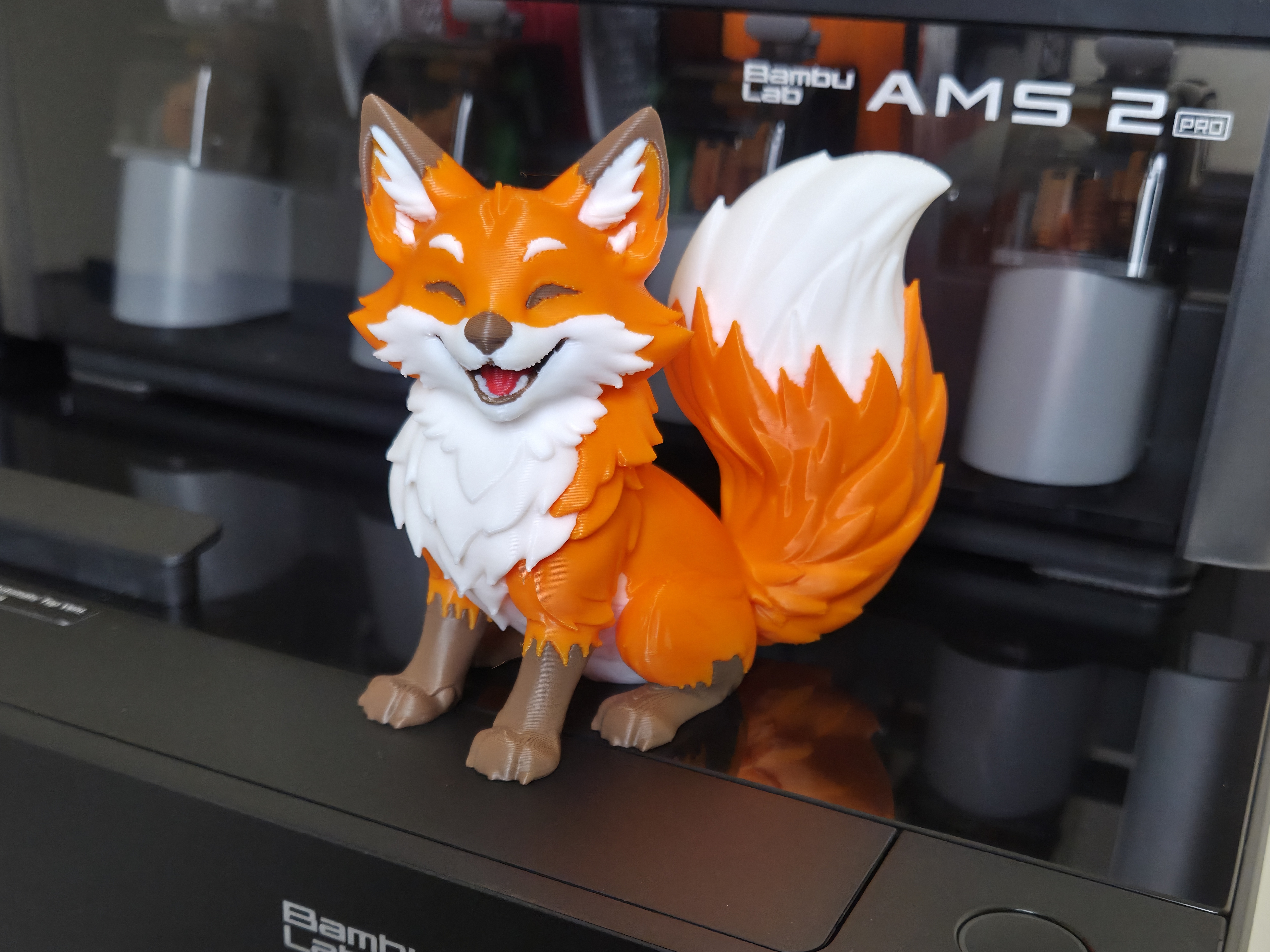 Cute Happy Fox (Multi Color)