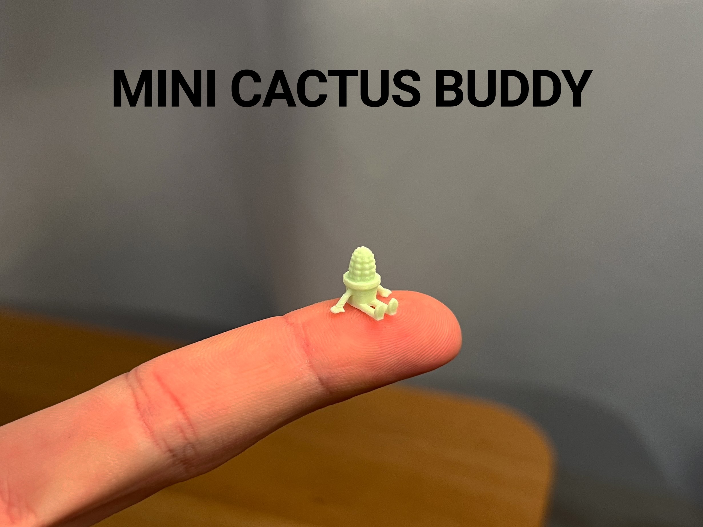 Mini Cactus Buddy
