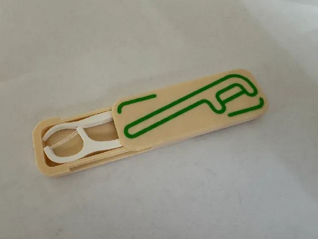 Flosser Case
