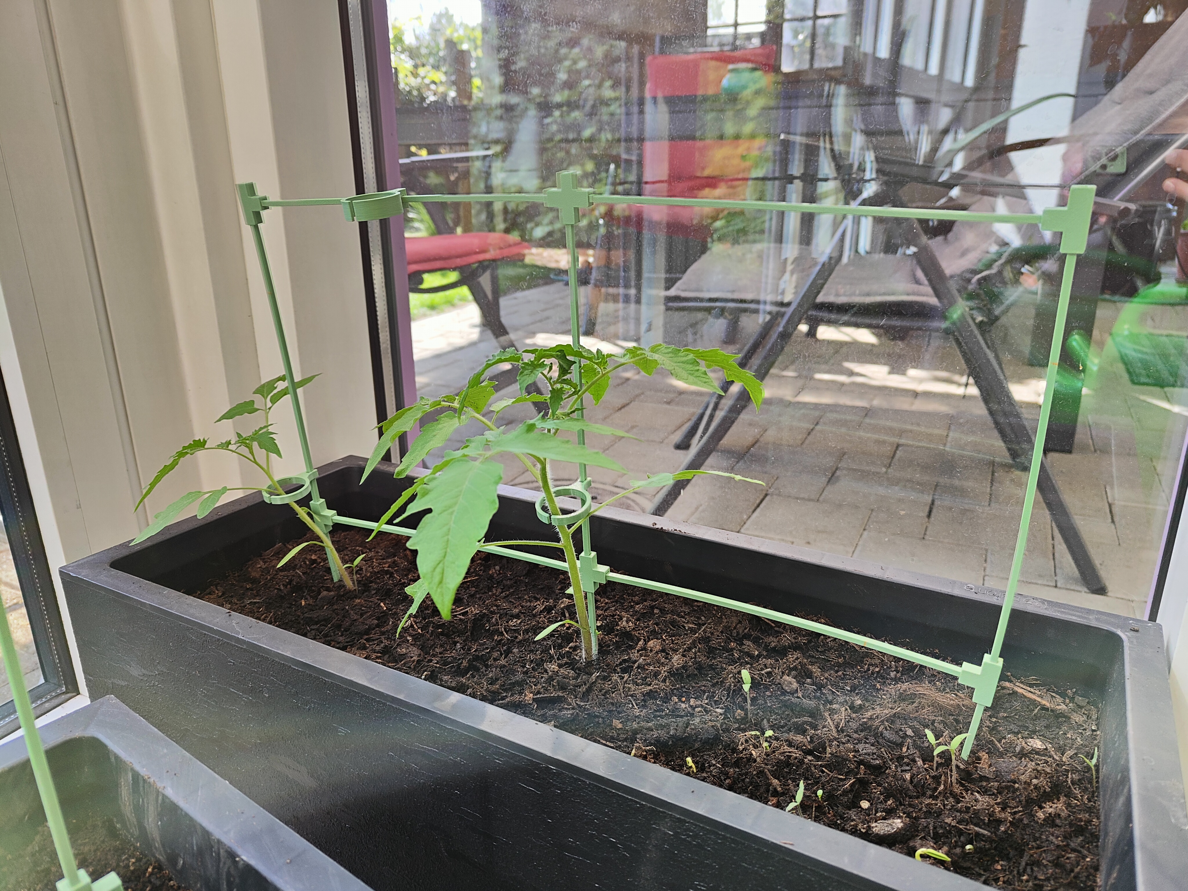 Tomato / Plant Support